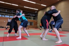 IMG_20171217_091646-1024x687